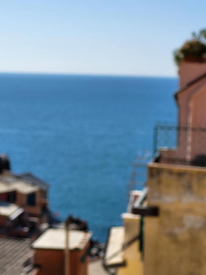 Apartament Casamare Riomaggiore Zewnętrze zdjęcie