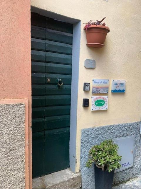 Apartament Casamare Riomaggiore Zewnętrze zdjęcie